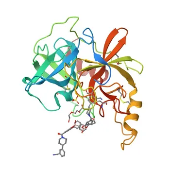 Anti-TPSAB1 Rabbit Polyclonal Antibody for WB and ELISA - Q15661