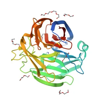 MYOC Rabbit pAb per WB, ELISA - Q99972