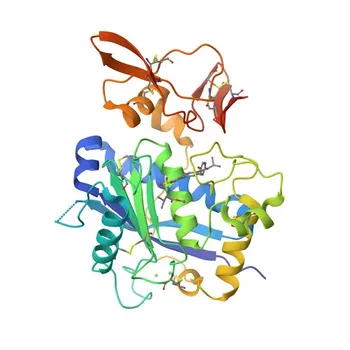 Anti-ADAMTS4 Rabbit Polyclonal Antibody for WB, IF/ICC, ELISA - O75173