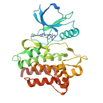 Anticorpo Monoclonal de Coelho Anti-ABL2 para WB, ELISA - P42684