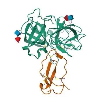 Anti-SLPI Rabbit Polyclonal Antibody for WB, ELISA - P03973