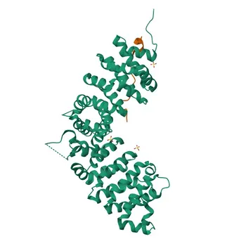 Anti-δ-Catenin/p120 Catenin Polyclonal Antibody for WB, IHC-P, ELISA - O60716