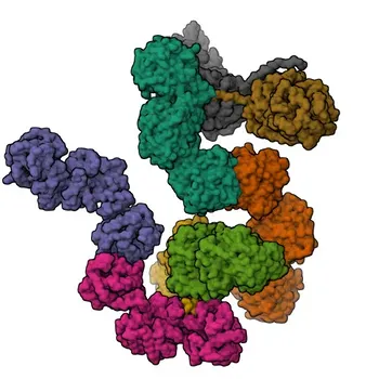 Anti-PLOD3/LH3 Monoclonal Antibody for WB, ELISA - O60568