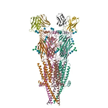 Anti-CHRNA3 Rabbit Polyclonal Antibody for WB and ELISA - P32297