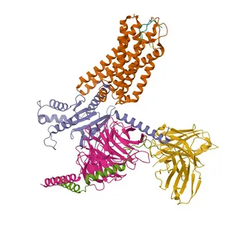 Anticorpo Policlonal Anti-SSTR2 para WB, IF/ICC, ELISA - P30874
