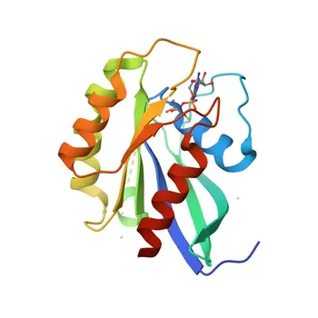 Anti-RAB26 Rabbit Polyclonal Antibody for WB, ELISA - Q9ULW5