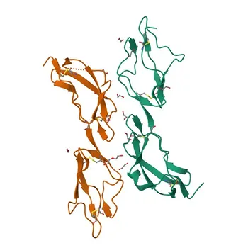 Anti-CFHR1 Rabbit Polyclonal Antibody for WB and ELISA - Q03591