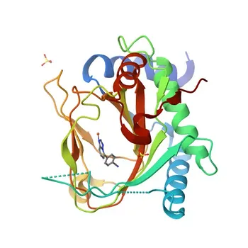 Anticorpo Policlonal Anti-Prolil Hidroxilase PHD1 (EGLN2) para WB, IP, ELISA - Q96KS0