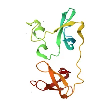 Anti-ZGPAT Polyclonal Antibody for WB, ELISA - Q8N5A5