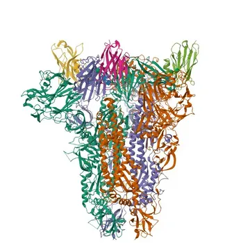 Anti-MERS-CoV Spike RBD Rabbit Polyclonal Antibody for WB, IF/ICC, ELISA - K9N5Q8
