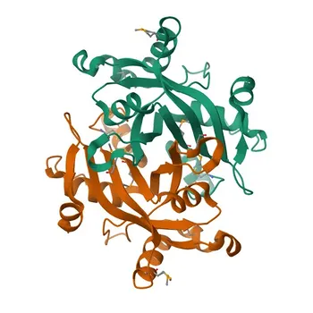 Anti-CREG1 Rabbit Polyclonal Antibody for WB, ELISA - O75629