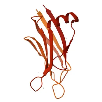 Anti-ITSN2 Polyclonal Antibody for WB, IF/ICC, ELISA - Q9NZM3