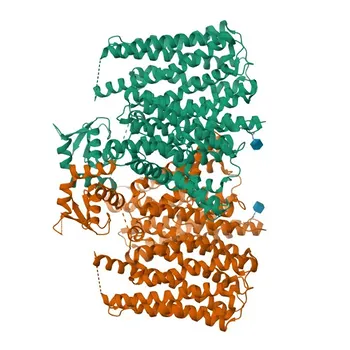 Anti-GPR155 Polyclonal Antibody for WB, ELISA - Q7Z3F1