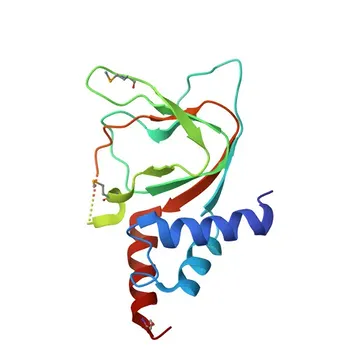 Anti-CNNM4/ACDP4 Polyclonal Antibody for WB, ELISA - Q6P4Q7