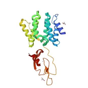 Anti-HGS Rabbit Polyclonal Antibody for WB, IF/ICC, IP, ELISA - O14964