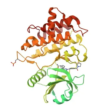 Anticorpo Policlonale Anti-IRAK4 per WB, IF/ICC, ELISA - Q9NWZ3