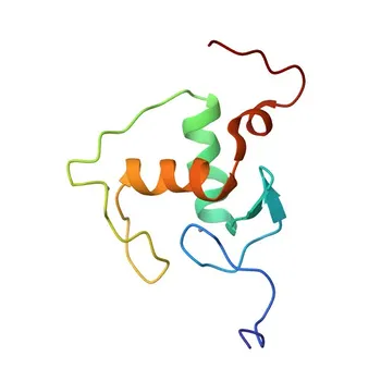 Anticorpo policlonale coniglio Anti-NR2F1 per IHC-P, ELISA - P10589