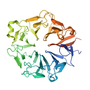 Anticorpo policlonale anti-RPGR per WB, IF-P, IHC-P, ELISA - Q92834
