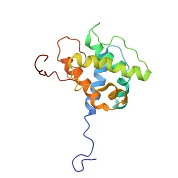 Anti-TAGLN2 Rabbit Polyclonal Antibody for WB, IF/ICC, ELISA - P37802