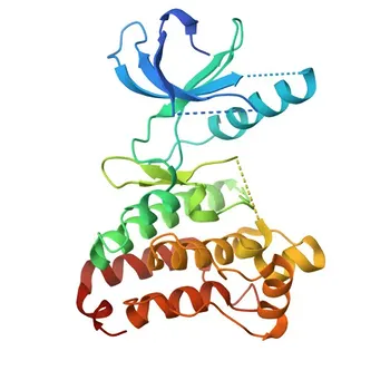 Anticorpo Policlonale Anti-EPHB2 per WB, ELISA - P29323