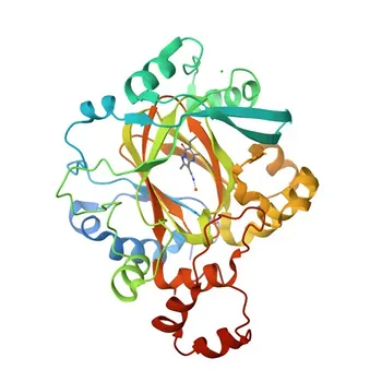 Anti-KDM4C Rabbit Polyclonal Antibody for WB, ELISA - Q9H3R0