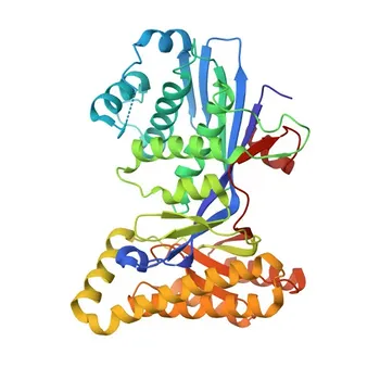 Anti-Mevalonate Kinase (MVK) Rabbit Monoclonal Antibody for WB, ELISA - Q03426
