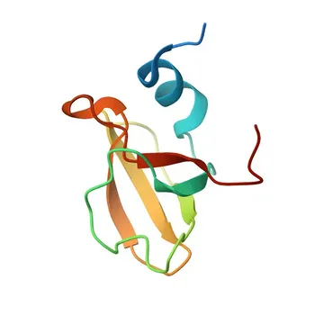 Anti-HECTD1 Rabbit Polyclonal Antibody for WB, ELISA - Q9ULT8