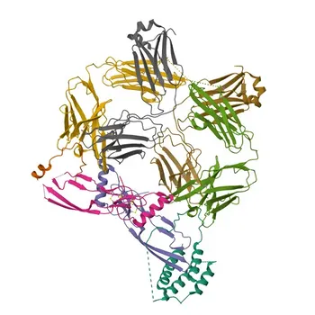 Anticorpo Policlonale Anti-AMH per WB, IF-P, IHC-P, ELISA - P03971