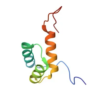 Anti-NKX3.1 Rabbit Monoclonal Antibody for WB and ELISA - Q99801