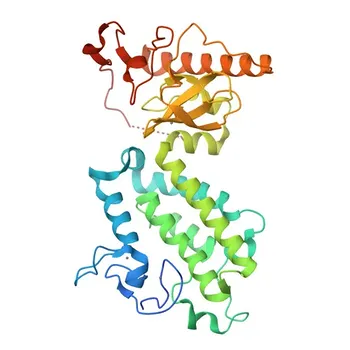 Anti-ZMYND8 Polyclonal Antibody for WB, ELISA - Q9ULU4