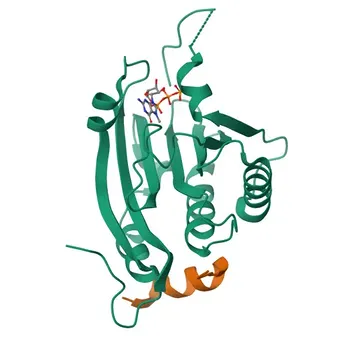 Anti-EIF4E2 Polyclonal Antibody for WB - O60573