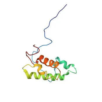 Anti-MYSM1 Rabbit Polyclonal Antibody for WB, ELISA - Q5VVJ2