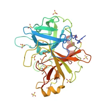 Anti-ST14 Polyclonal Antibody for WB, ELISA - Q9Y5Y6