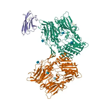 Anti-Fibroblast activation protein-α (FAP) Rabbit Polyclonal Antibody for WB, IF/ICC, ELISA - Q12884