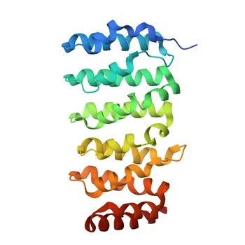 Anti-CKAP5 Rabbit Polyclonal Antibody for WB, IP, IF/ICC, IF-P, ELISA - Q14008