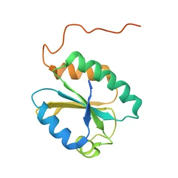 Anti-GLRX3 Rabbit Polyclonal Antibody for WB, IP, ELISA - O76003