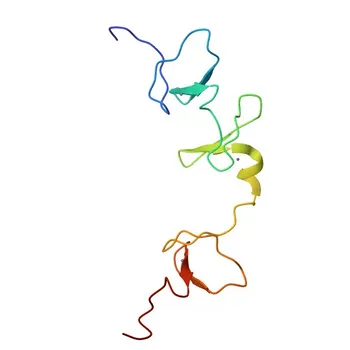 FHL1 Rabbit pAb for WB and ELISA - Q13642