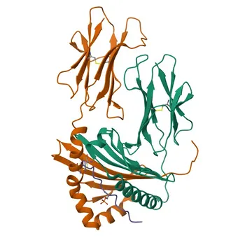 Anti-Melan-A/MART-1 Polyclonal Antibody for WB, IF/ICC, ELISA - Q16655
