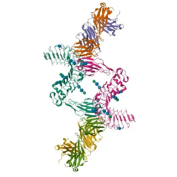 Anti-LINGO1 Polyclonal Antibody for WB, ELISA - Q96FE5