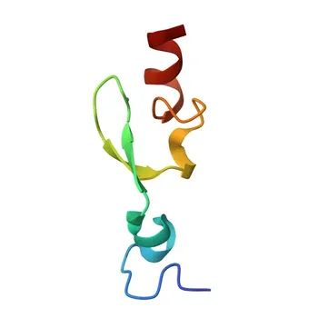 Anti-PHC1 Rabbit Polyclonal Antibody for WB, ELISA - P78364