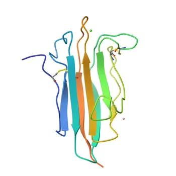 Anti-TNFAIP6 Rabbit Polyclonal Antibody for WB, ELISA - P98066