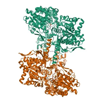 Anti-PYGL Rabbit Polyclonal Antibody - P06737