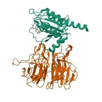Anti-LZTR1 Rabbit Polyclonal Antibody for WB, ELISA - Q8N653