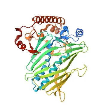 Anti-OSBPL3 Polyclonal Antibody for WB, ELISA - Q9H4L5