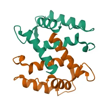 Anti-S100A3 Rabbit Polyclonal Antibody for WB and ELISA - P33764
