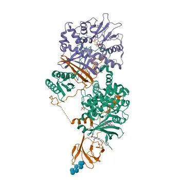 Anti-PRKAB2 Rabbit Polyclonal Antibody for WB, IF/ICC, ELISA - O43741