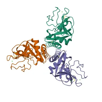 Anti-CLEC3B/Tetranectin Polyclonal Antibody for IF/ICC, ELISA - P05452