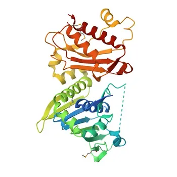 Anti-PMS2 Rabbit Polyclonal Antibody for WB, ELISA - P54278