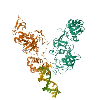 MTF2 Rabbit Polyclonal Antibody for WB, ELISA - Q9Y483