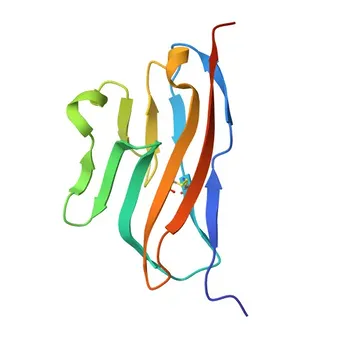 Anti-TIGIT Rabbit Polyclonal Antibody for WB, ELISA - Q495A1